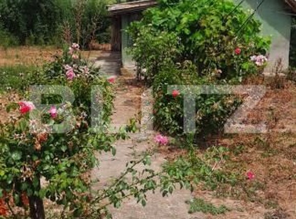 Casa de vânzare 3 camere Nord-Vest - 206438CV | BLITZ Craiova | Poza3