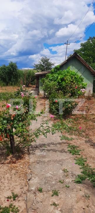 Casa de vânzare 3 camere Nord-Vest - 206438CV | BLITZ Craiova | Poza3