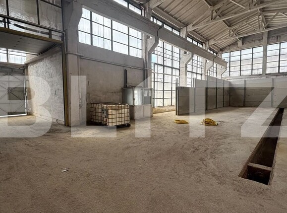 Spațiu industrial de închiriat Calea Severinului - 206501SII | BLITZ Craiova | Poza12