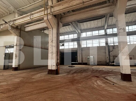 Spațiu industrial de închiriat Calea Severinului - 206501SII | BLITZ Craiova | Poza14