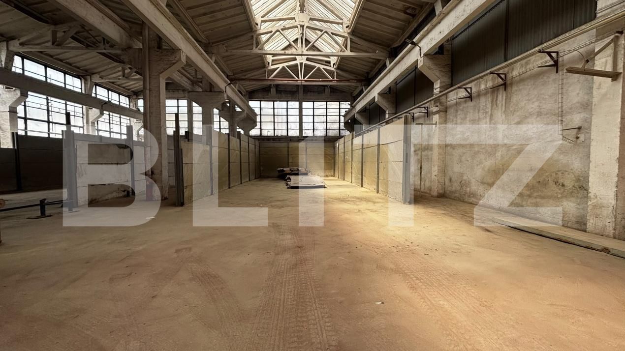 Spațiu industrial de închiriat Calea Severinului - 206501SII | BLITZ Craiova | Poza10