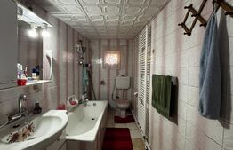 Casa P+1, 101 mp, garaj, teren 325 mp, zona Bariera Valcii