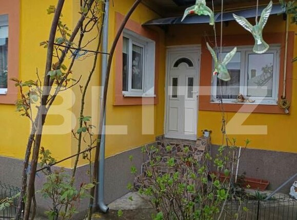 Casa de vânzare 5 camere Bariera Valcii - 206561CV | BLITZ Craiova | Poza15