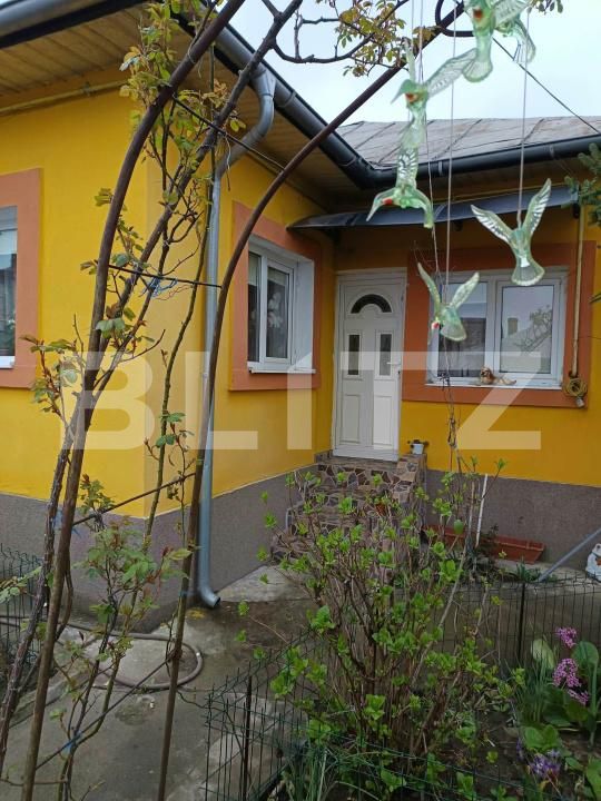 Casa de vânzare 5 camere Bariera Valcii - 206561CV | BLITZ Craiova | Poza15