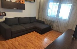 Apartament 2 camere, 48 mp , zona Rovine