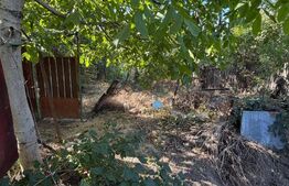 Casa 80 mp, teren 1683 mp, zona Cosoveni