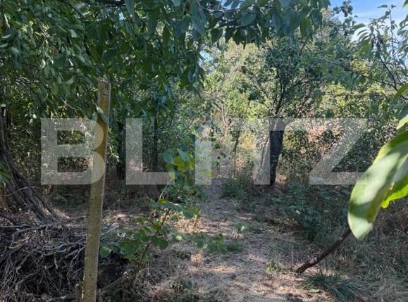 Casa de vânzare 3 camere Cosoveni - 206631CV | BLITZ Craiova | Poza5