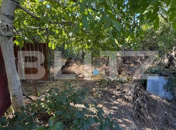 Casa de vânzare 3 camere Cosoveni - 206631CV | BLITZ Craiova | Poza4
