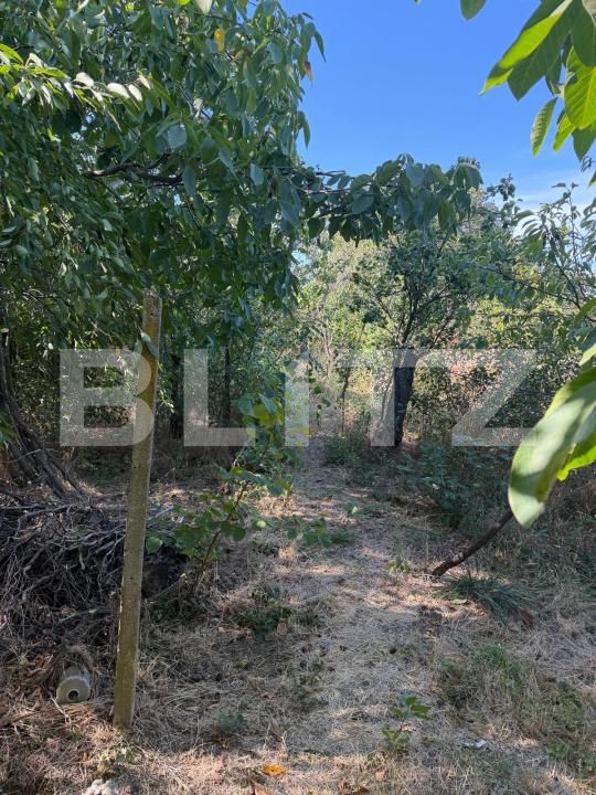 Casa de vânzare 3 camere Cosoveni - 206631CV | BLITZ Craiova | Poza5