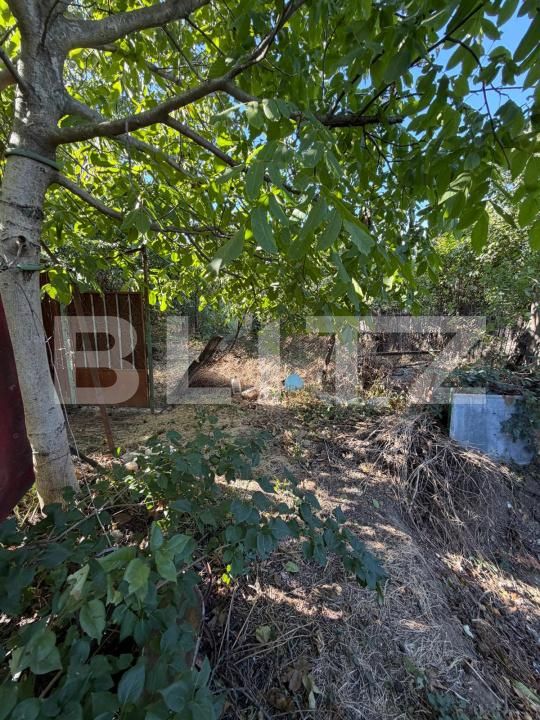 Casa de vânzare 3 camere Cosoveni - 206631CV | BLITZ Craiova | Poza4