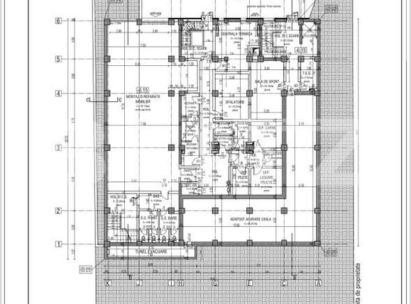 Spațiu birouri de închiriat Calea Severinului - 206665SIB | BLITZ Craiova | Poza2