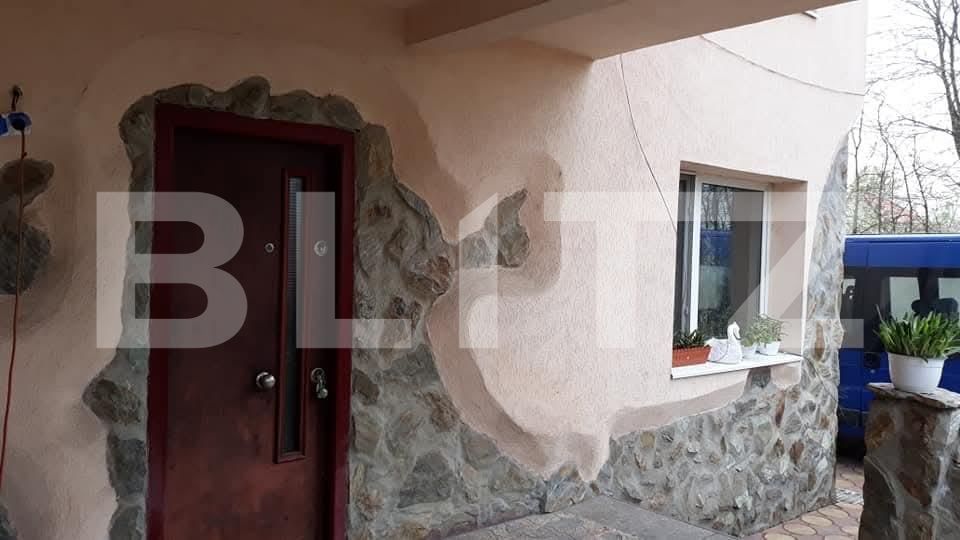 Casa de vânzare 8 camere Lascar Catargiu - 206793CV | BLITZ Craiova | Poza13