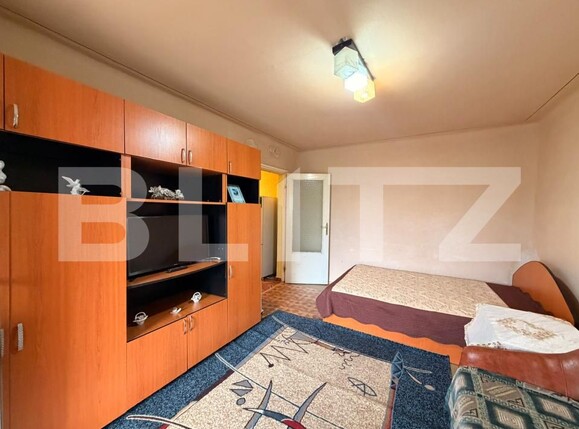 Garsonieră de vânzare Valea Rosie - 206795AV | BLITZ Craiova | Poza1