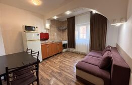 Garsonieră de vânzare Lapus - 197311AV | BLITZ Craiova | Poza1