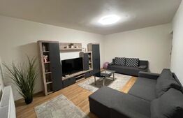 Apartament de închiriat 2 camere Brazda lui Novac - 132810AI | BLITZ Craiova | Poza1