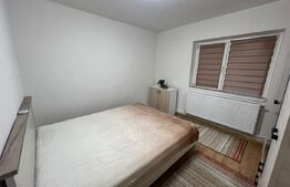 Apartament 2 camere decomandat,centrala proprie, zona Rovine 