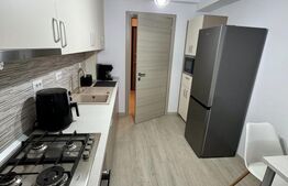 Apartament 2 Camere,  56 MP,  Zona Damila