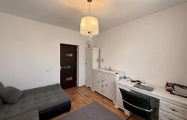 Casă S + P + E + M 232 mpu, 238 mp teren cu foișor, Centru