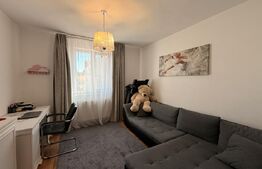 Casă S + P + E + M 232 mpu, 238 mp teren cu foișor, Centru