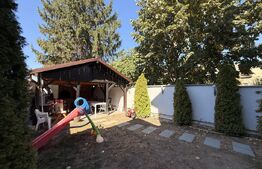Casă S + P + E + M 232 mpu, 238 mp teren cu foișor, Centru