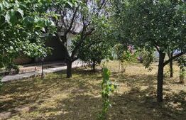 Casă cu 665 mp teren, garaj și terasă, zona Damila