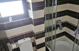 Casă cu 665 mp teren, garaj și terasă, zona Damila