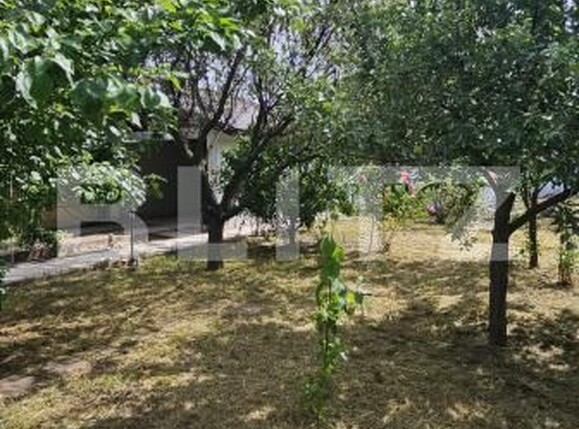 Casa de vânzare 3 camere Sud-Est - 206862CV | BLITZ Craiova | Poza2