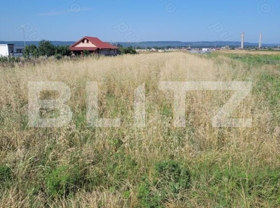Teren de vânzare Filiaşi - 206873TV | BLITZ Craiova | Poza1
