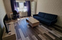 Apartament 2 camere, decomandat, zona Brazda lui Novac