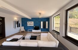 Casă P + M, 190 mp, 2421 mp teren cu foișor, Leamna de Jos