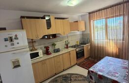 Casa P+1, 166 mp utili, 465 mp teren, zona Carcea 