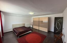Casa P+1, 166 mp utili, 465 mp teren, zona Carcea 