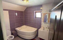 Casa P+1, 166 mp utili, 465 mp teren, zona Carcea 
