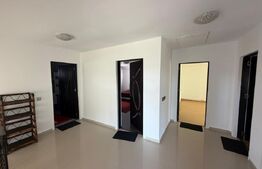 Casa P+1, 166 mp utili, 465 mp teren, zona Carcea 