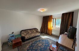 Casa P+1, 166 mp utili, 465 mp teren, zona Carcea 