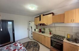 Casa P+1, 166 mp utili, 465 mp teren, zona Carcea 