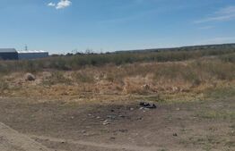 Teren intravilan 6700 mp, oportunitate investitie,  Isalnita