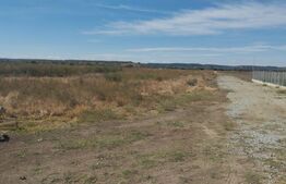 Teren intravilan 6700 mp, oportunitate investitie,  Isalnita