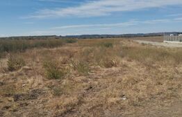 Teren intravilan 6700 mp, oportunitate investitie,  Isalnita