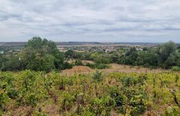 Teren intravilan, 6850 mp, Simnicul de sus