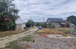 Teren intravilan, 6850 mp, Simnicul de sus