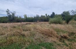 Teren intravilan, 6850 mp, Simnicul de sus