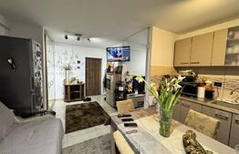 Apartament 2 camere, 54 mp, zona Calea Severinului