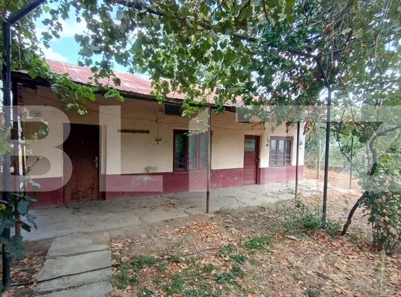 Casa de vânzare 4 camere Exterior Est - 207238CV | BLITZ Craiova | Poza5