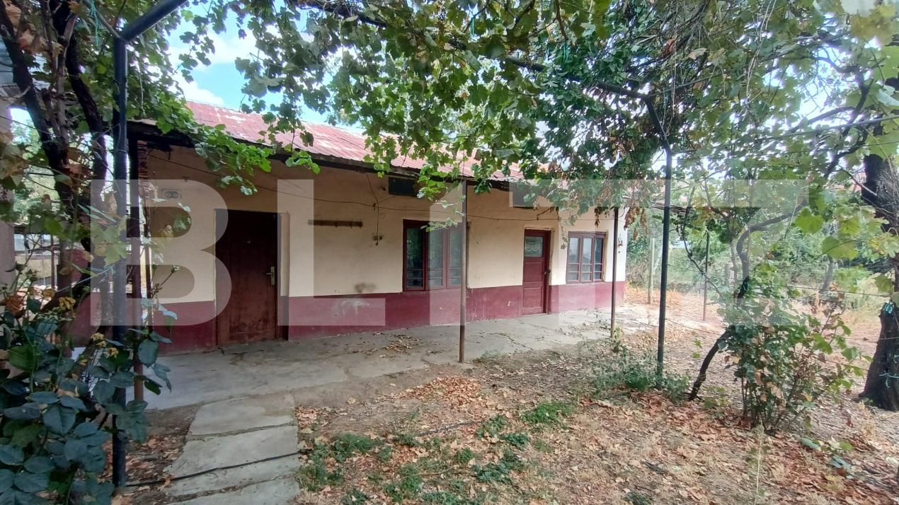 Casa de vânzare 4 camere Exterior Est - 207238CV | BLITZ Craiova | Poza5