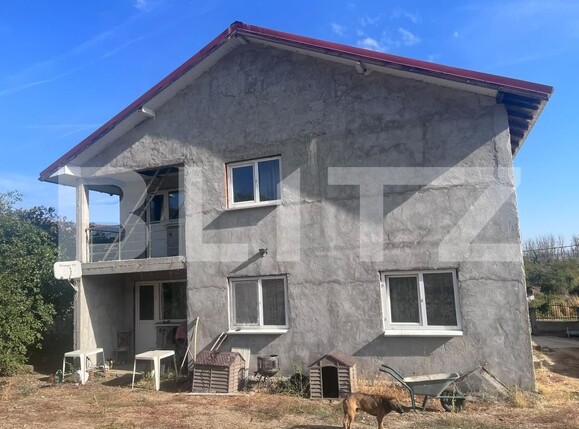Casa de vânzare 8 camere Leamna de Jos - 207263CV | BLITZ Craiova | Poza2