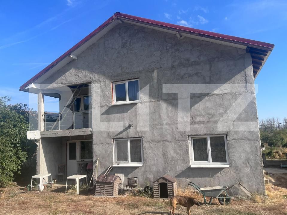 Casa de vânzare 8 camere Leamna de Jos - 207263CV | BLITZ Craiova | Poza2