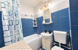 Garsoniera de vanzare, 28 mp, zona Brazda lui Novac