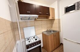 Garsoniera de vanzare, 28 mp, zona Brazda lui Novac
