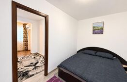 Garsoniera de vanzare, 28 mp, zona Brazda lui Novac
